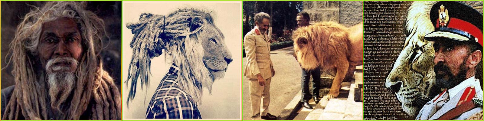 Bannière blog sur lion rasta