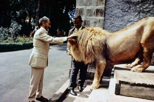 Haïlé Sélassié avec son lion